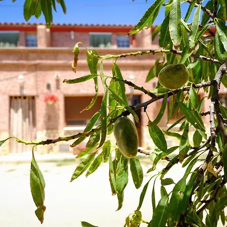 Casitas De Mata